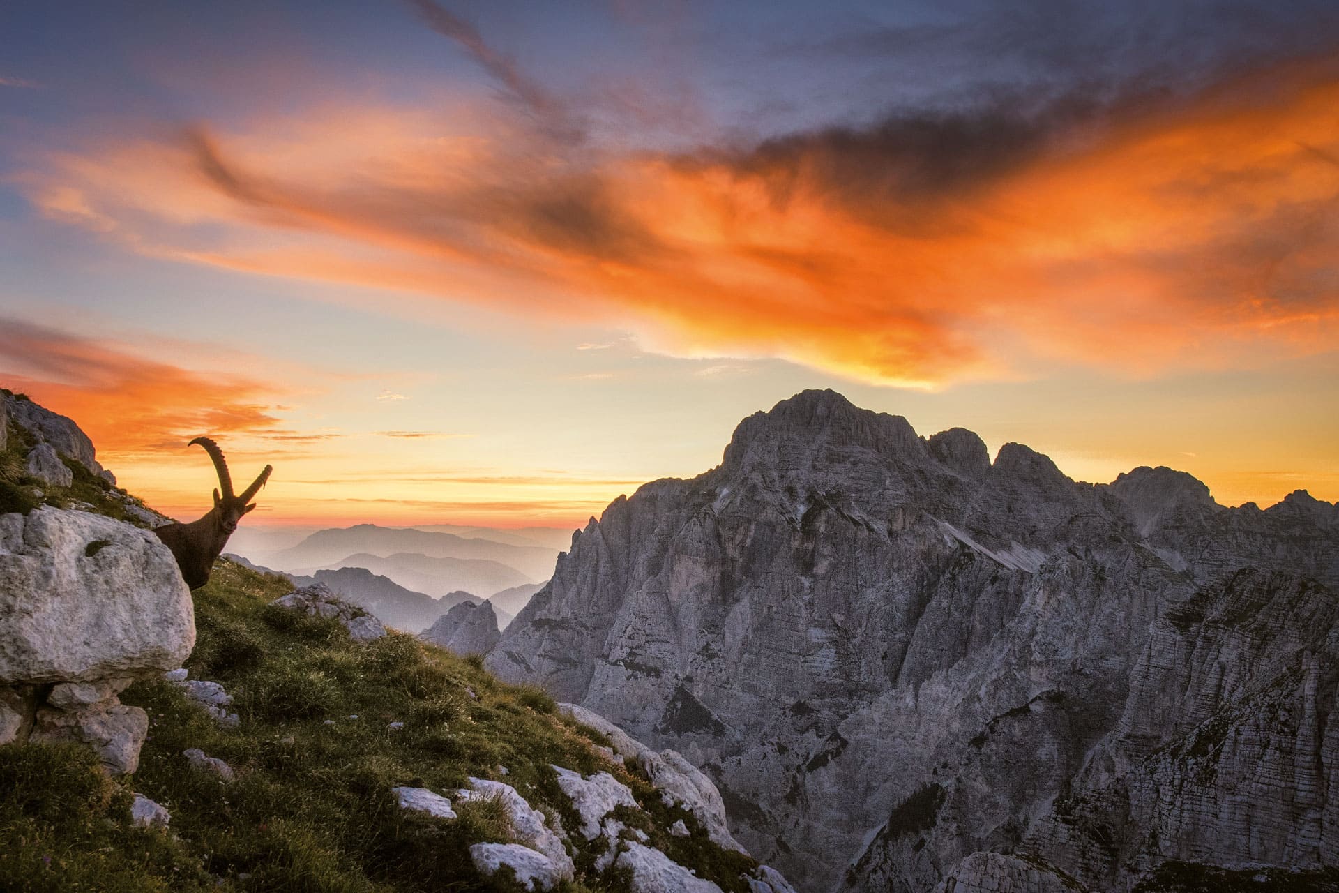 Escursioni nel Friuli Venezia Giulia